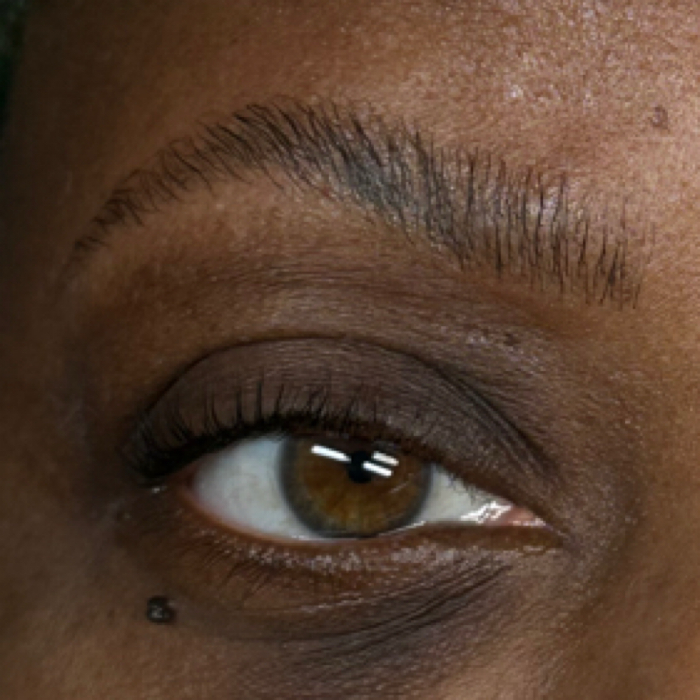 Eyebrow Wax at Beauty X Janessa in Austintown, OH