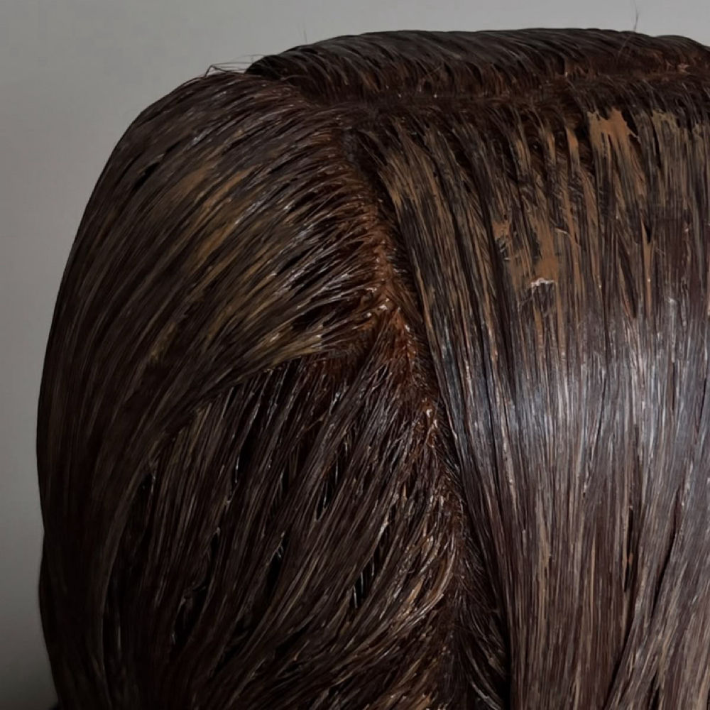 THE SIGNATURE COLOR at Hair Artistry by Danielle in Coon Rapids, MN