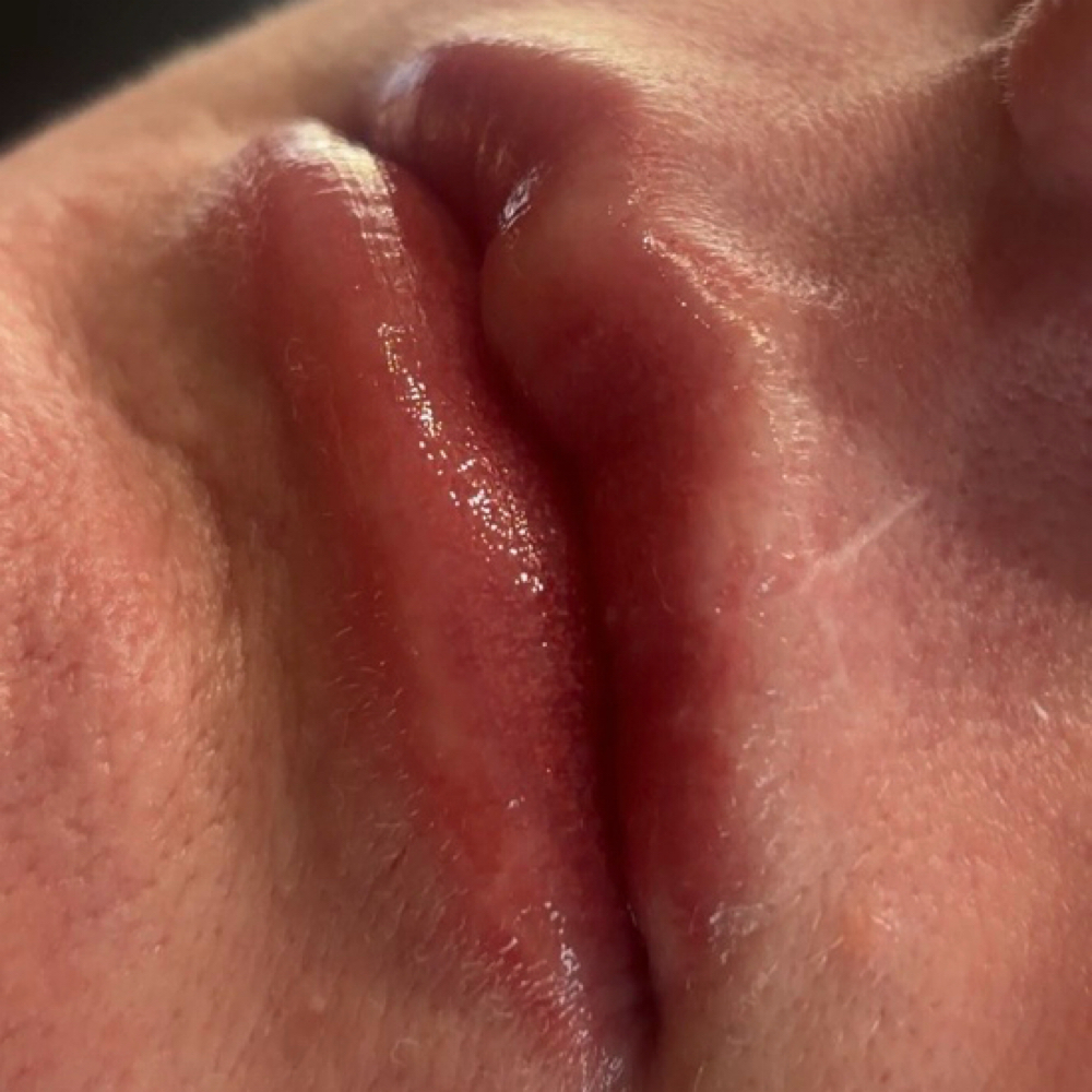Lip Blush Touchup at Eliama.Ink in Conneaut Lake, PA