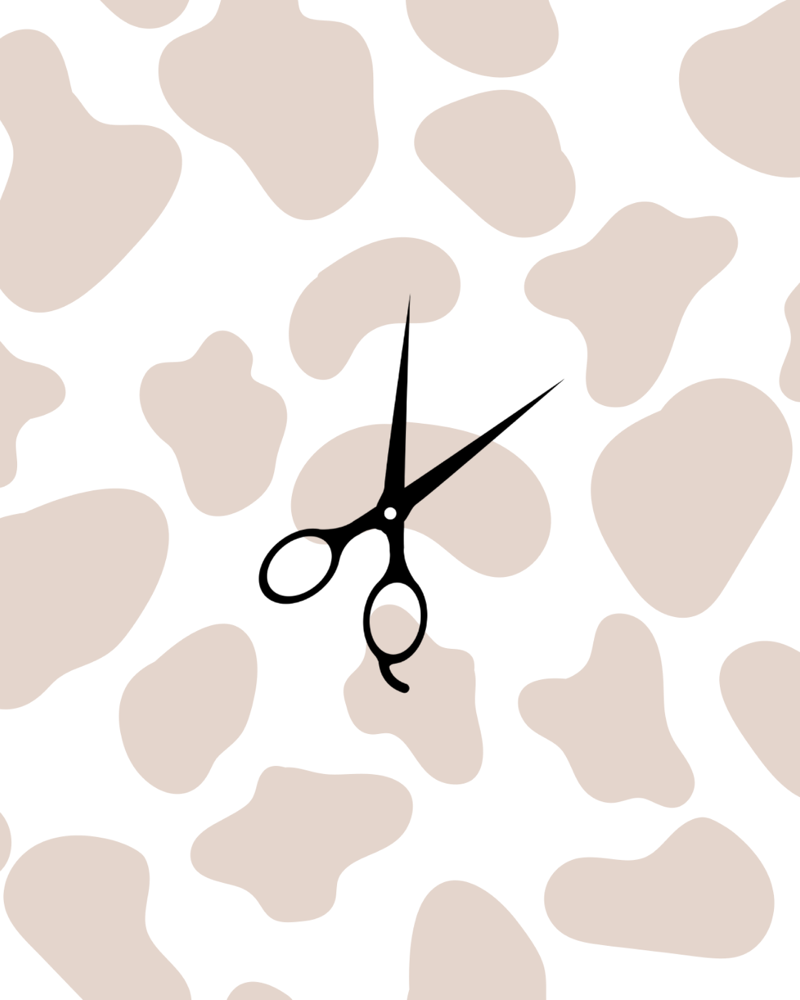 Women’s Haircut