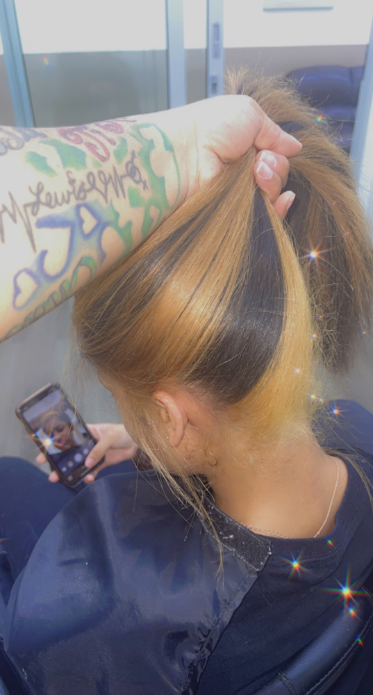 Color & Style