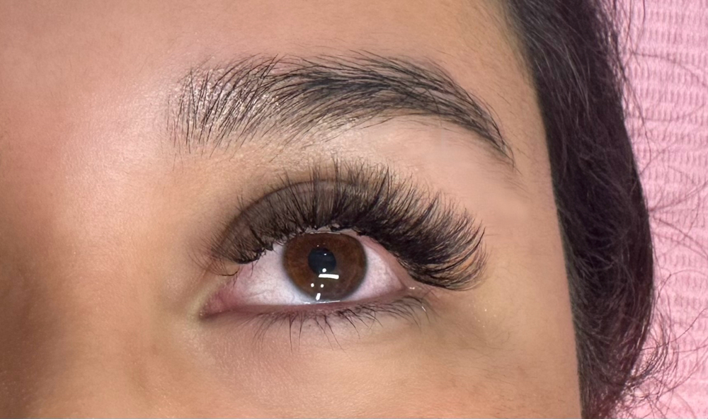 2 Week Lash Fill