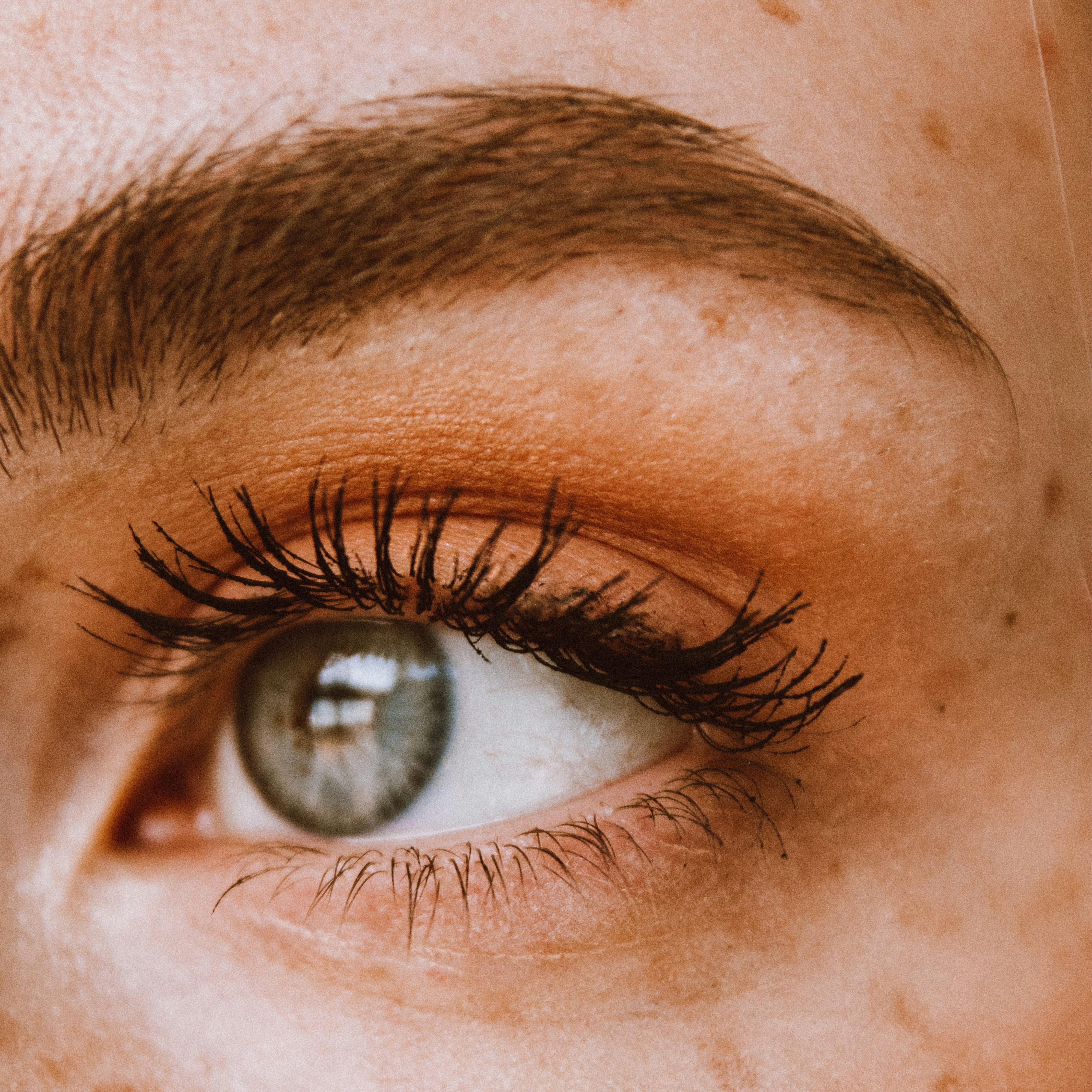 Brow Wax at Ash & Juniper in Draper, UT