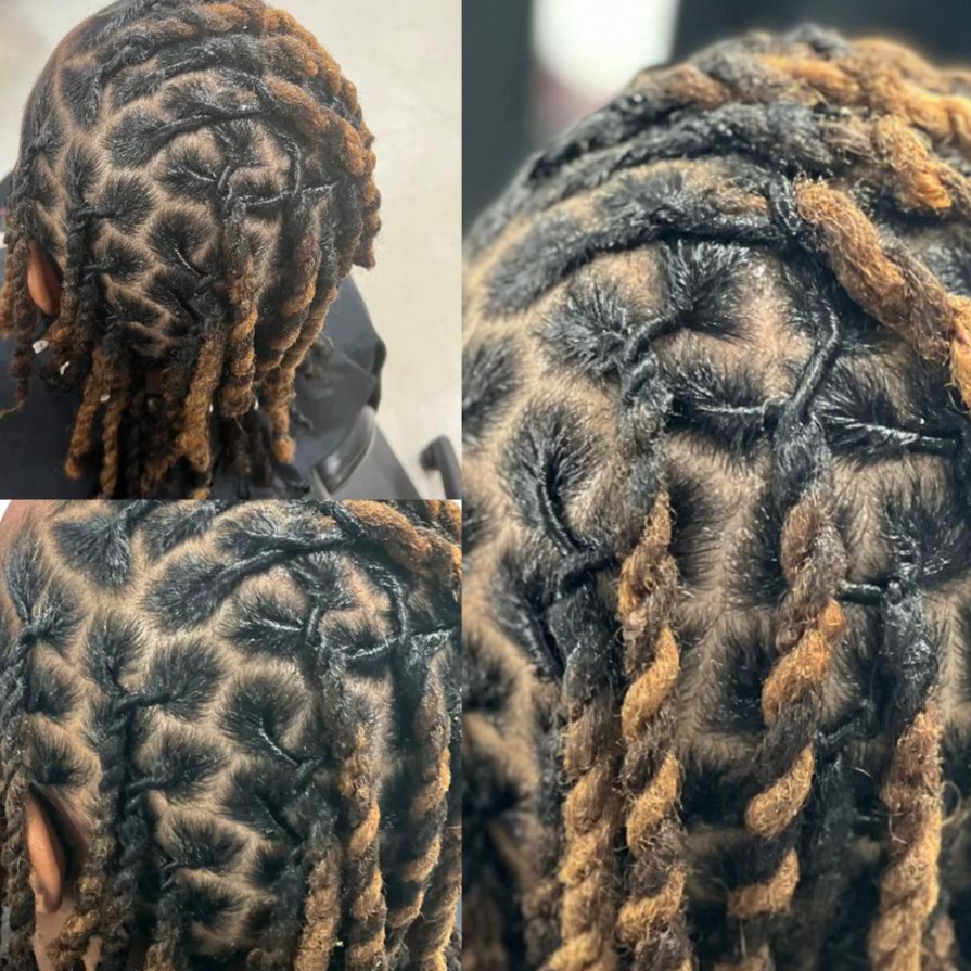 Loc Retwist at Wild Magnolia Beauty & Wellness Spa in Allen, TX