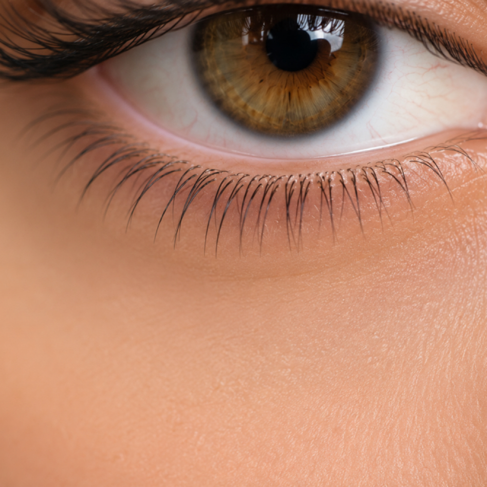 Bottom Lash add-on at Rose Gold Lash in Centerline, MI