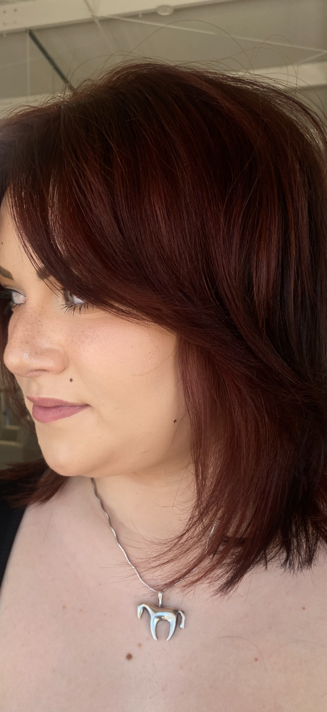 Root Retouch at Maggie Glentz-Hairstylist in Rogers, AR