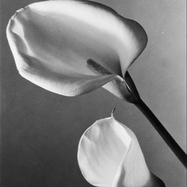 TRANSFORM - The Clinical Ceremony at Ceremony Esthetics and Wellness in South Pasadena, CA