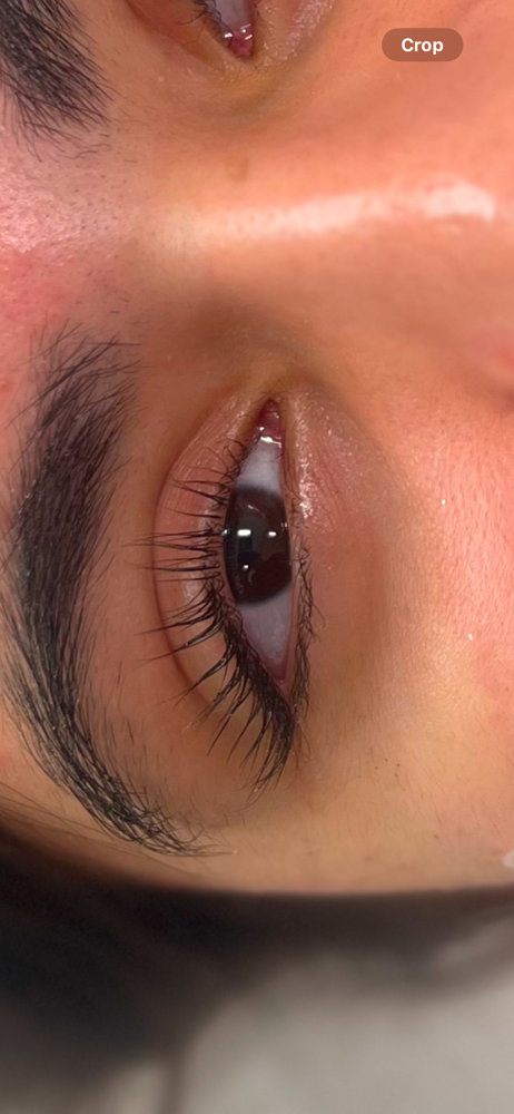 Lash Lift