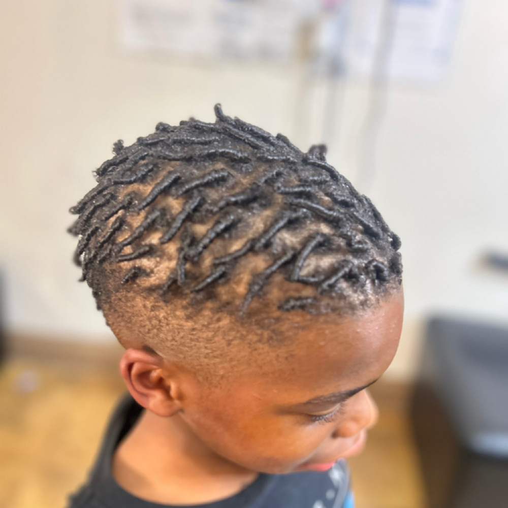 Starter Locs/twists at Elaine Collins in Plano, TX