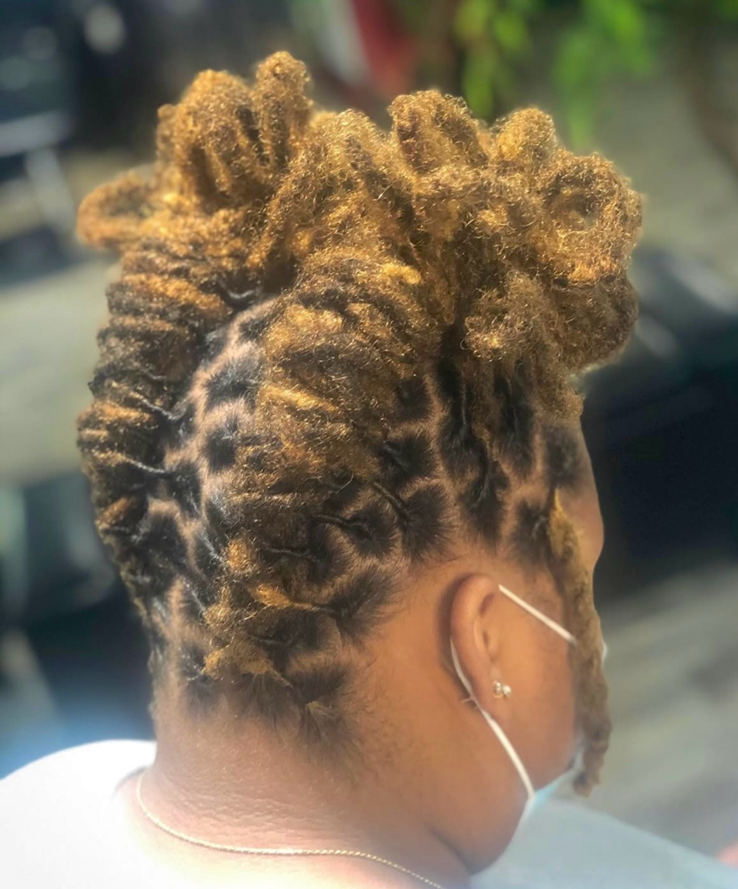 Loc Retwist w/ Advanced Style