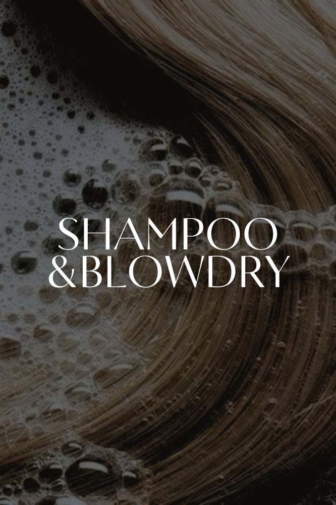 THE SHAMPOO & BLOWDRY