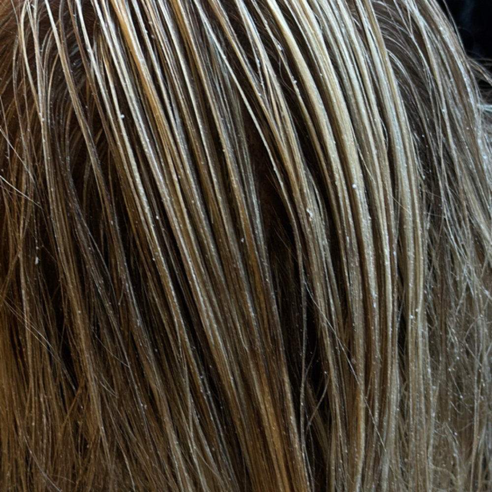 WET BALAYAGE at Velora Rose Beauty Bar in Gretna, NE