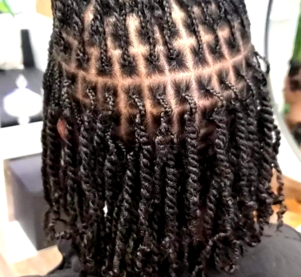 Mini Twist Starter Locs