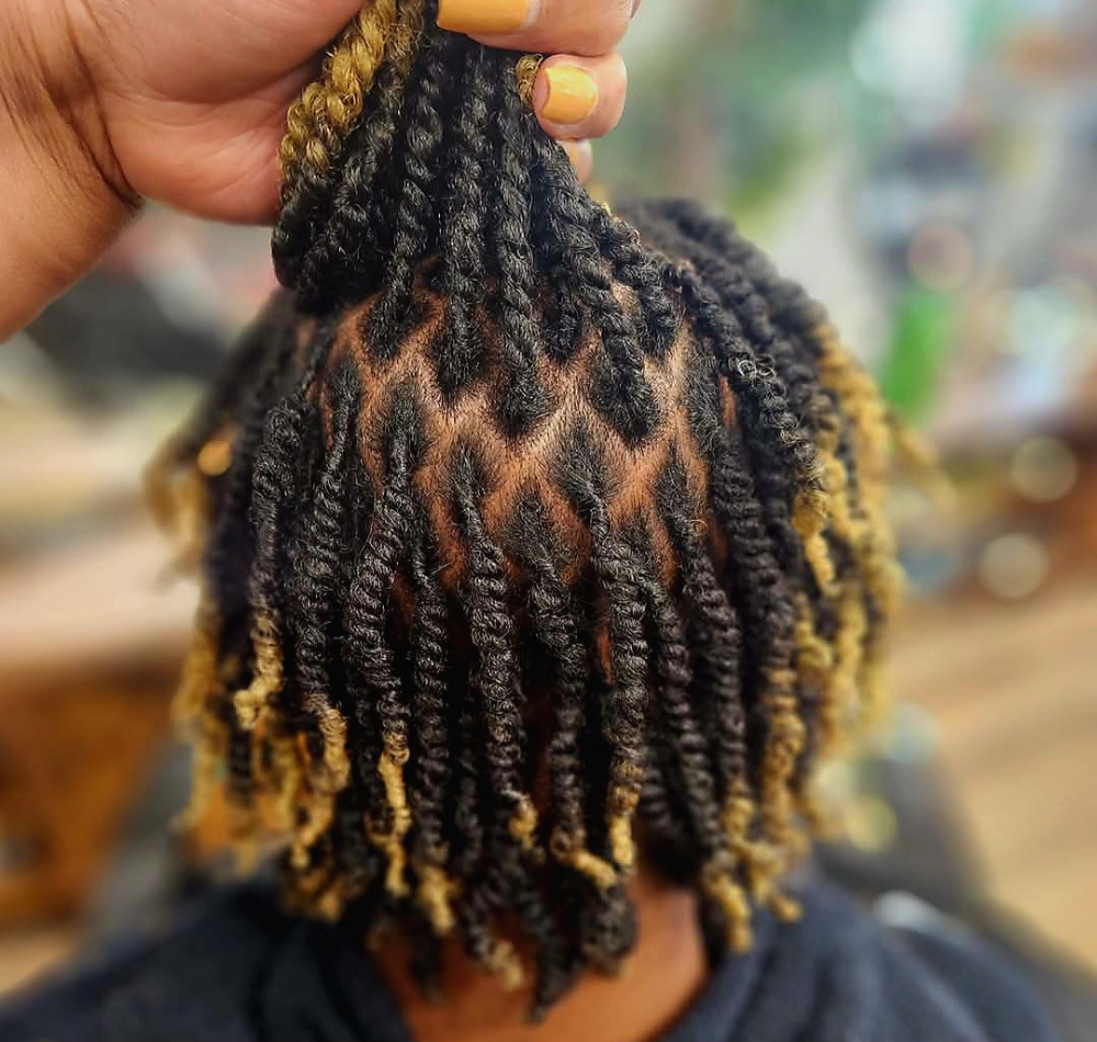 Mini Twist