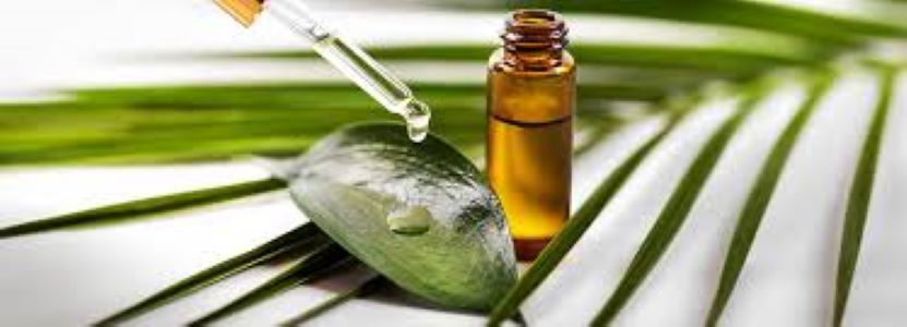Tea Tree Hair scalp scrub