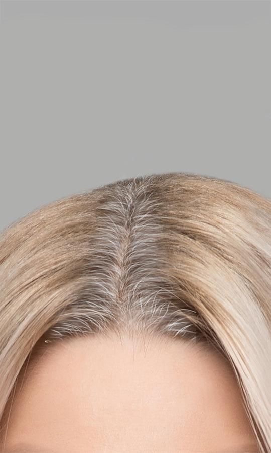 Root Touch Up