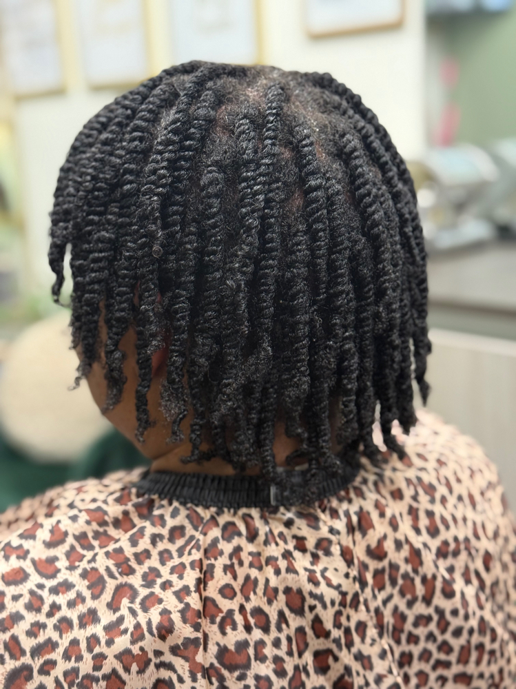 Twist / Flat Twist Natural Hair