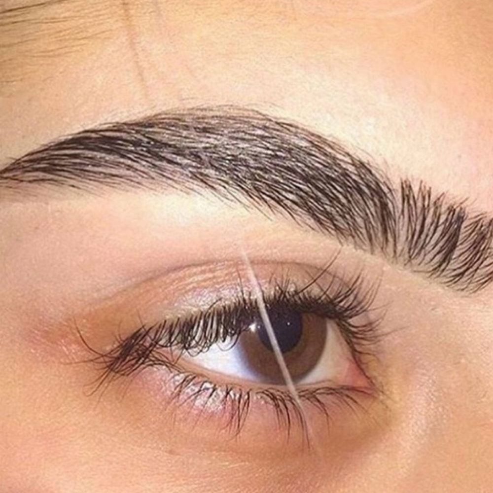 Eyebrows at lushbrowsnhair in Dearborn, MI
