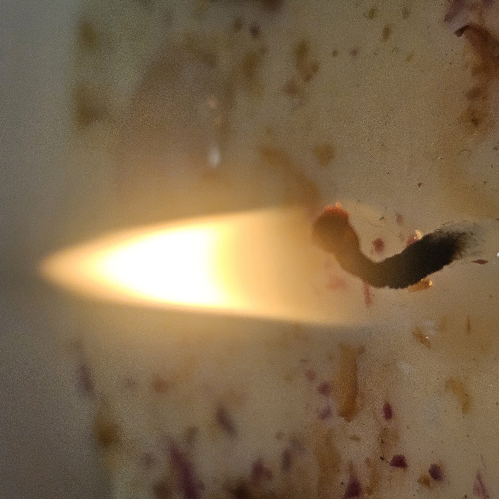 Intuitive Reading - 60 MINUTES