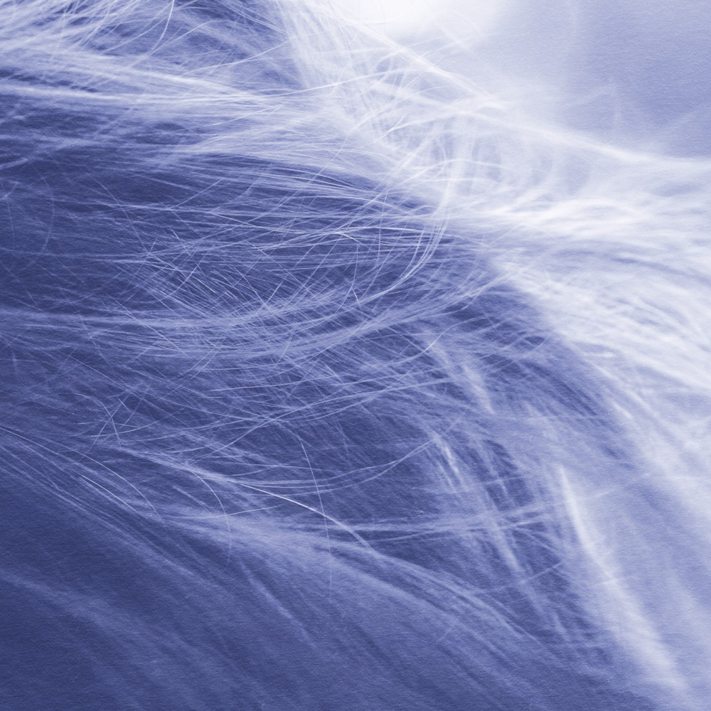 Partial Foil