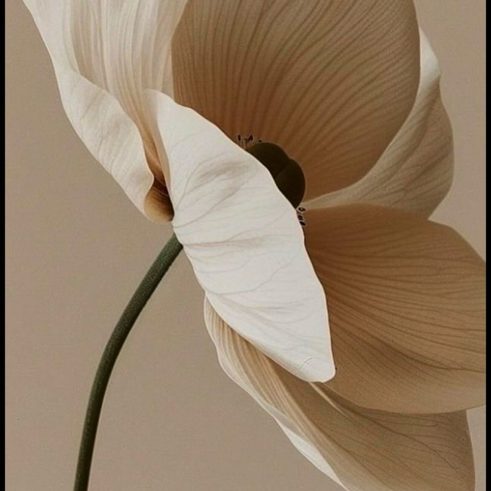 The SOMA Detox: Prenatal Glow at SOMA: Massage and Movement in Austell, GA