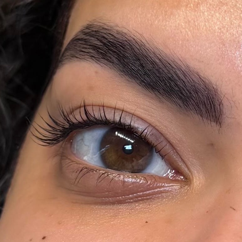 A1 Brow Shape & Tint at Stephs A1 Beauty Bar in Southwest Ranches, FL