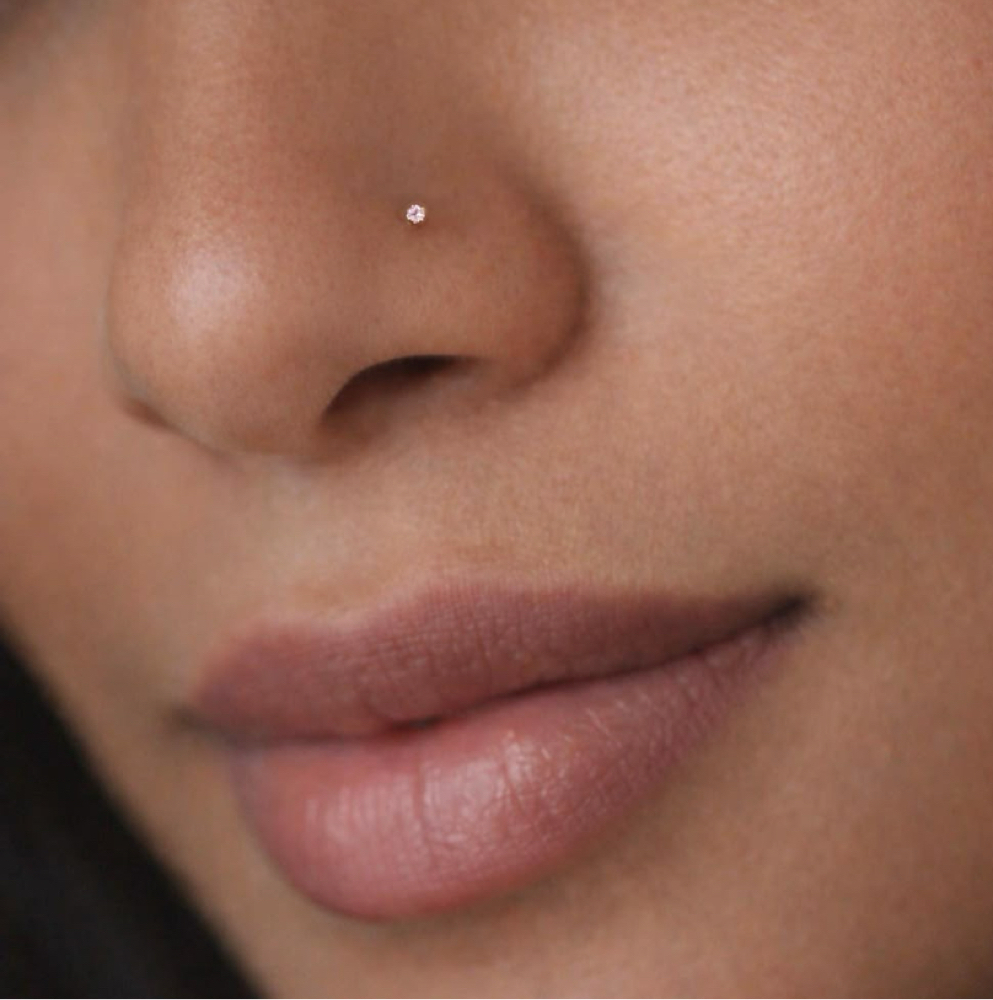 Ear & Body Piercings at GAM417 - Graceful Arches Microblading By Mel LLC in Springfield, MO