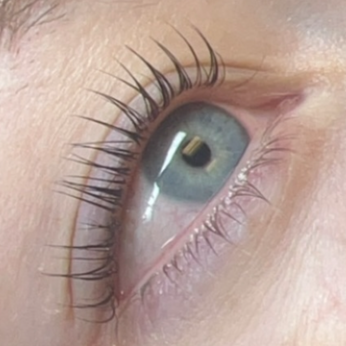 Lash Lift /Lash Tint at Ooh la la Aesthetics in Amarillo, TX
