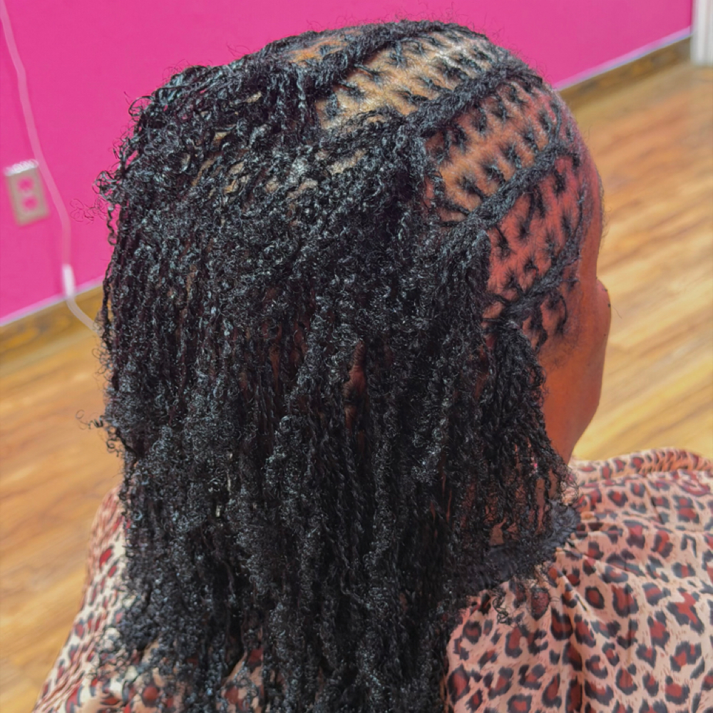 Micro Locs at The Braid & Loc Nurse in Texarkana, TX