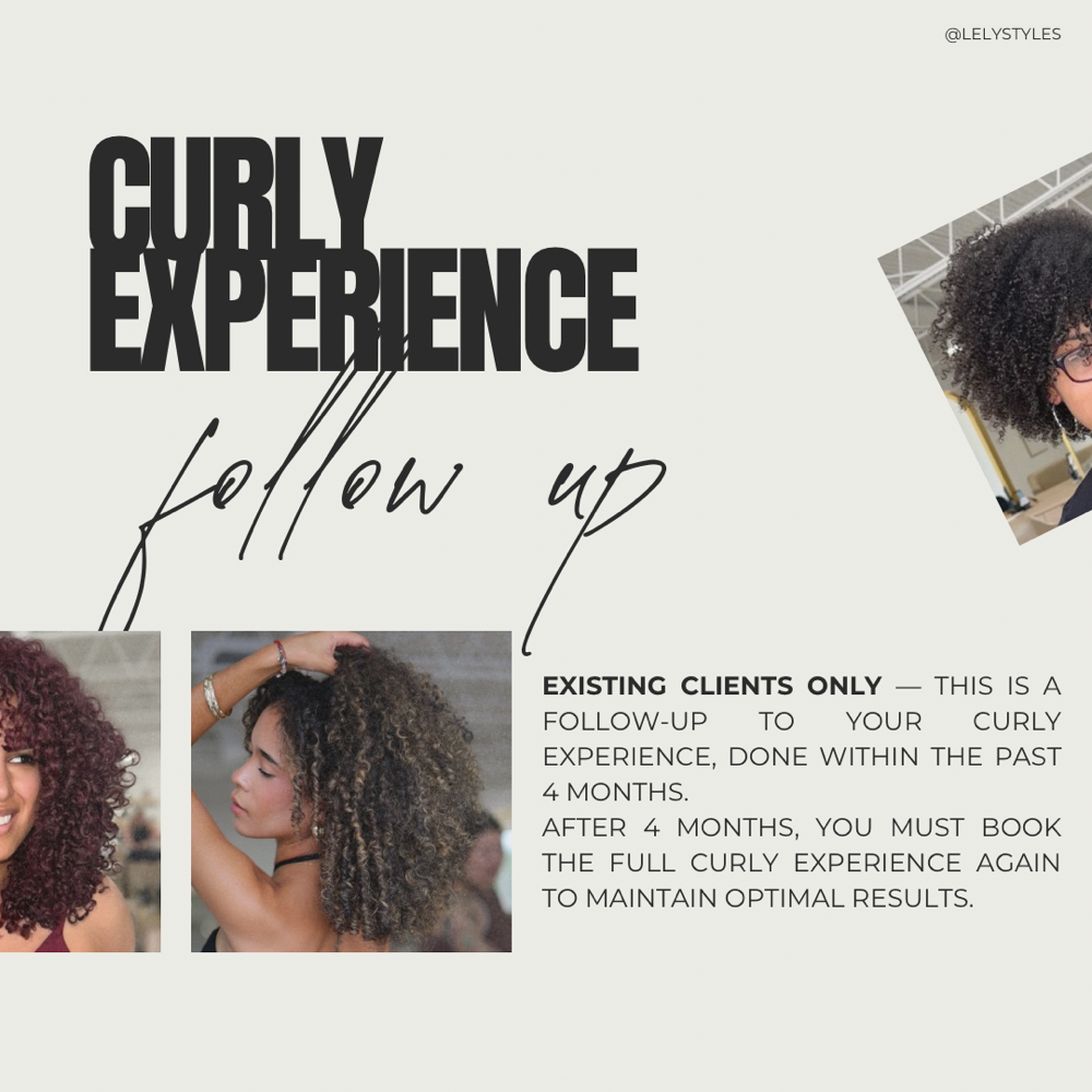 CURLY EXPERIENCE — FOLLOW UP