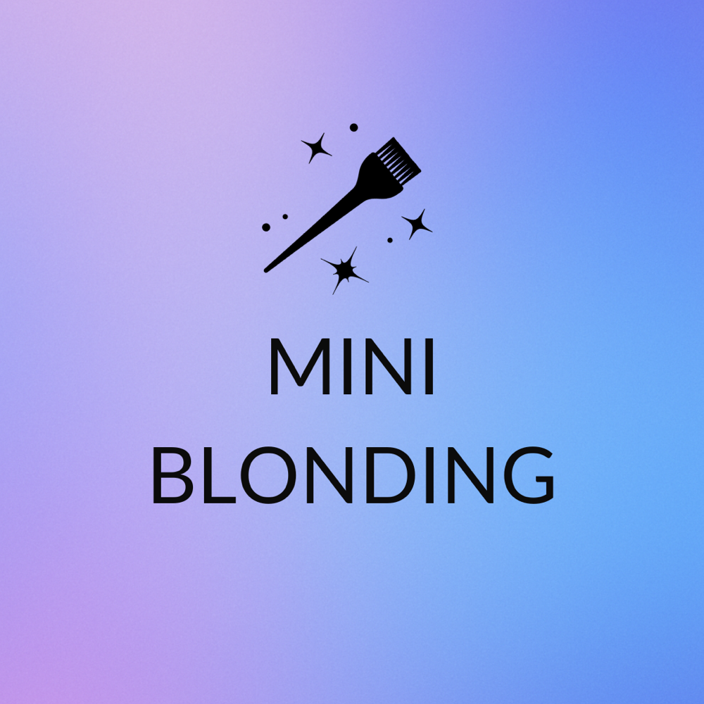 Mini Blonding