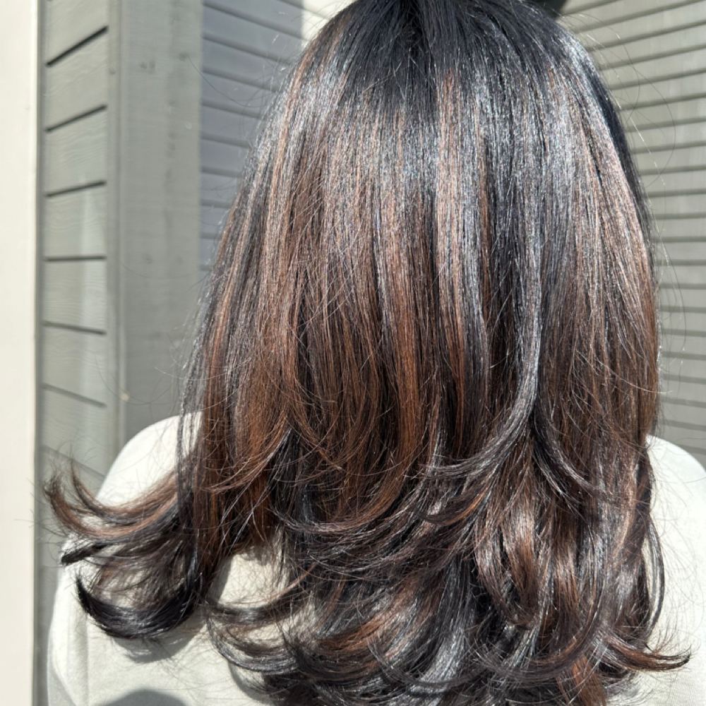 Basic Balayage at Wildflower Hair Studio in Seattle, WA
