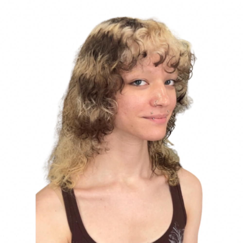 Transformational/Creative Color at PhD Wigs + Hair Studio in Saint Petersburg, FL