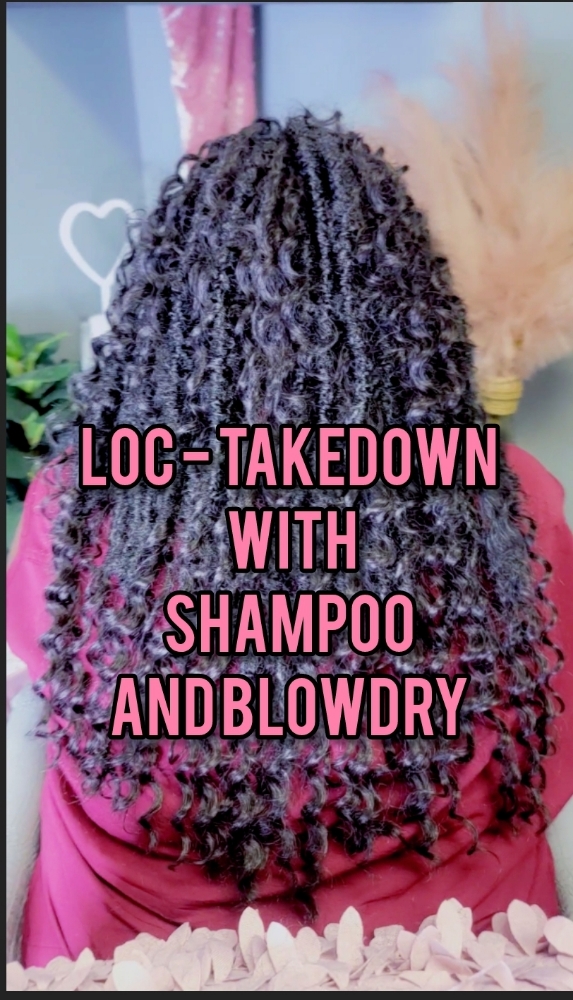 Loc Takedown,shampoo,blowdry