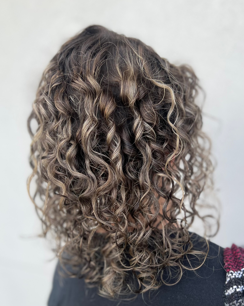 Dry Curly/Wavy Haircut