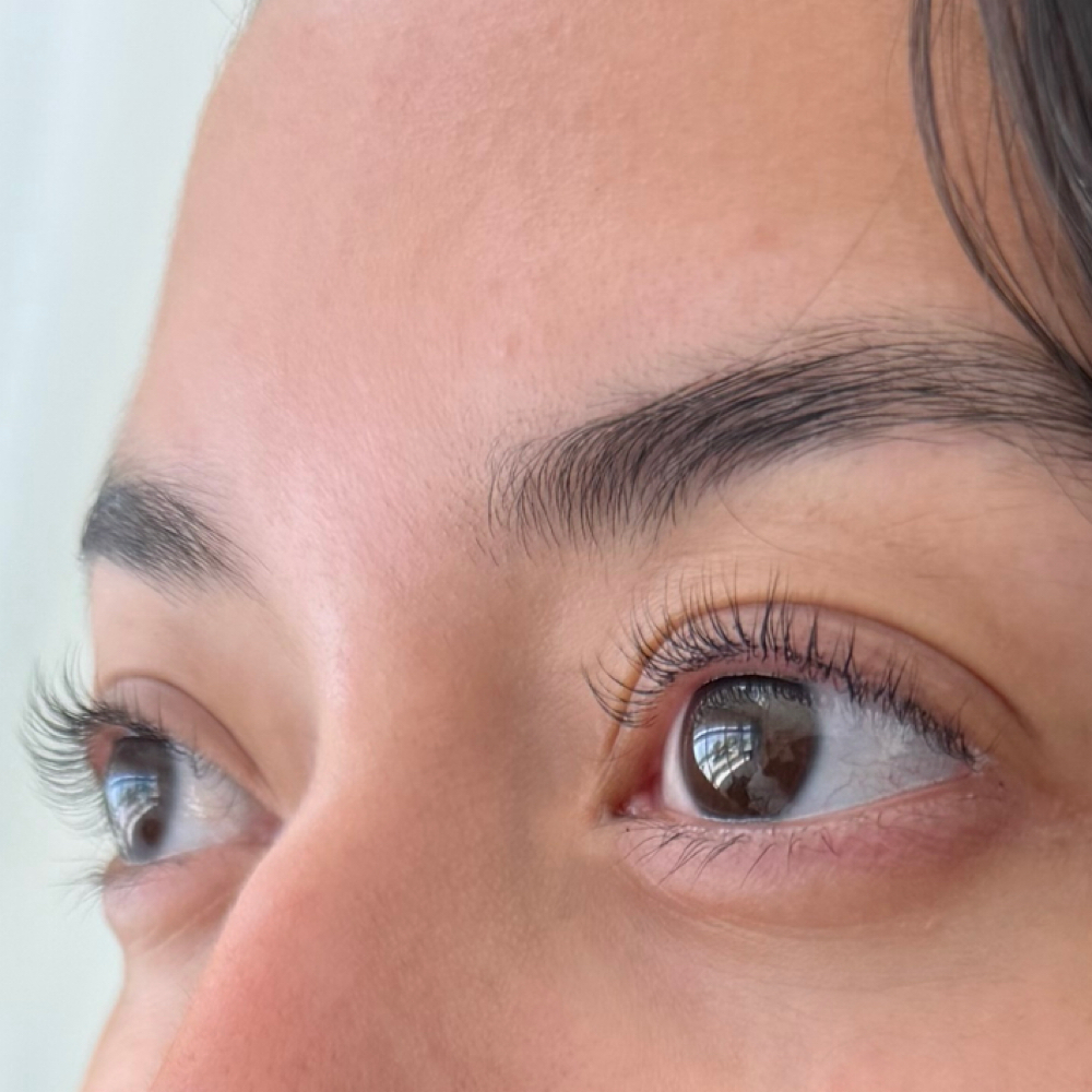 A1 Lash Lift & Tint at Stephs A1 Beauty Bar in Southwest Ranches, FL