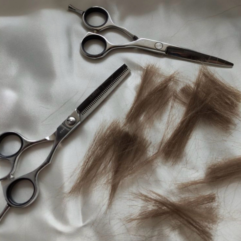 Womens Dry Cut at STYLES BY SOPHIA JANE in Hazel Green, AL