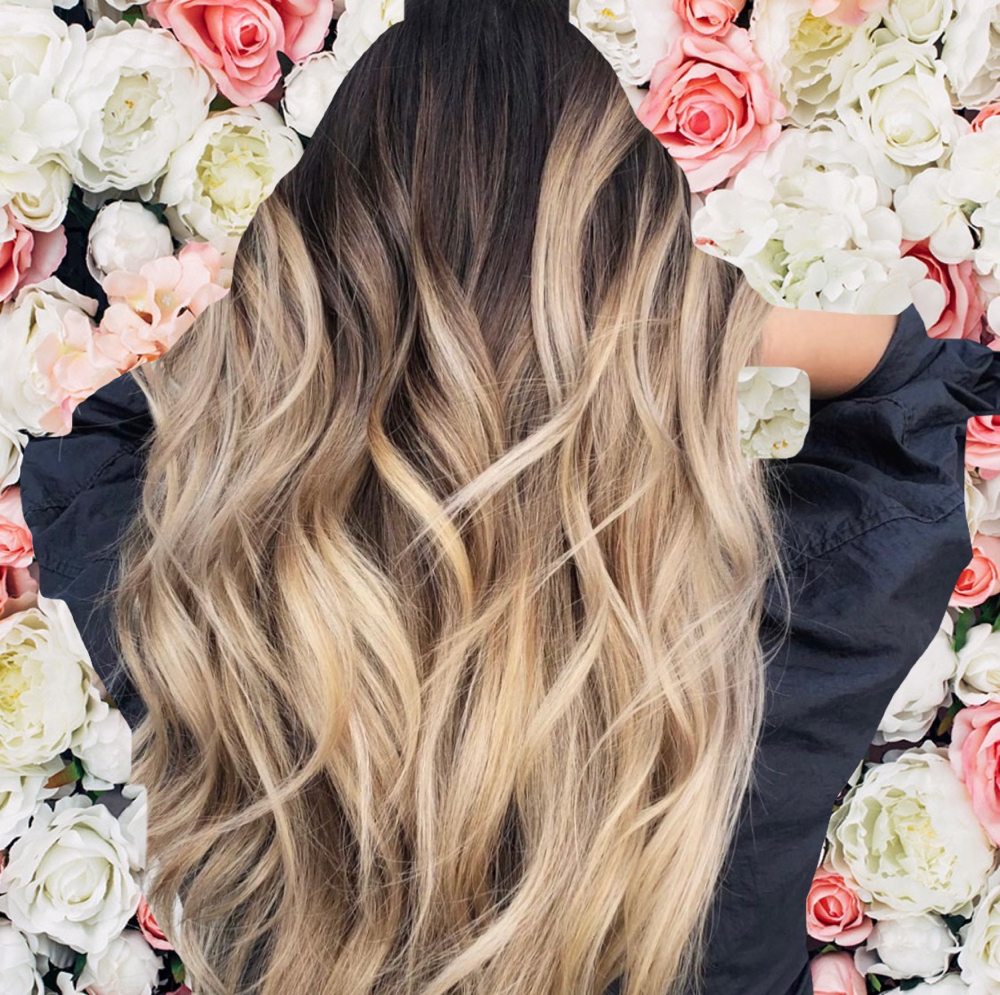 Partial Balayage  & Haircut