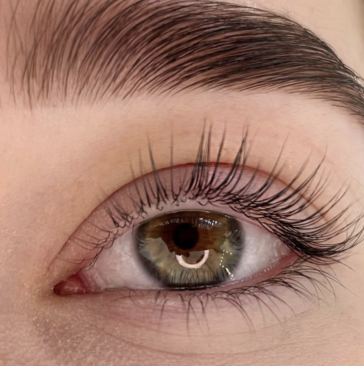 Lash Tint