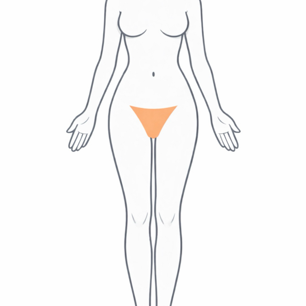 Bikini Full (female) at The Luxury Club in Conroe Texas, TX