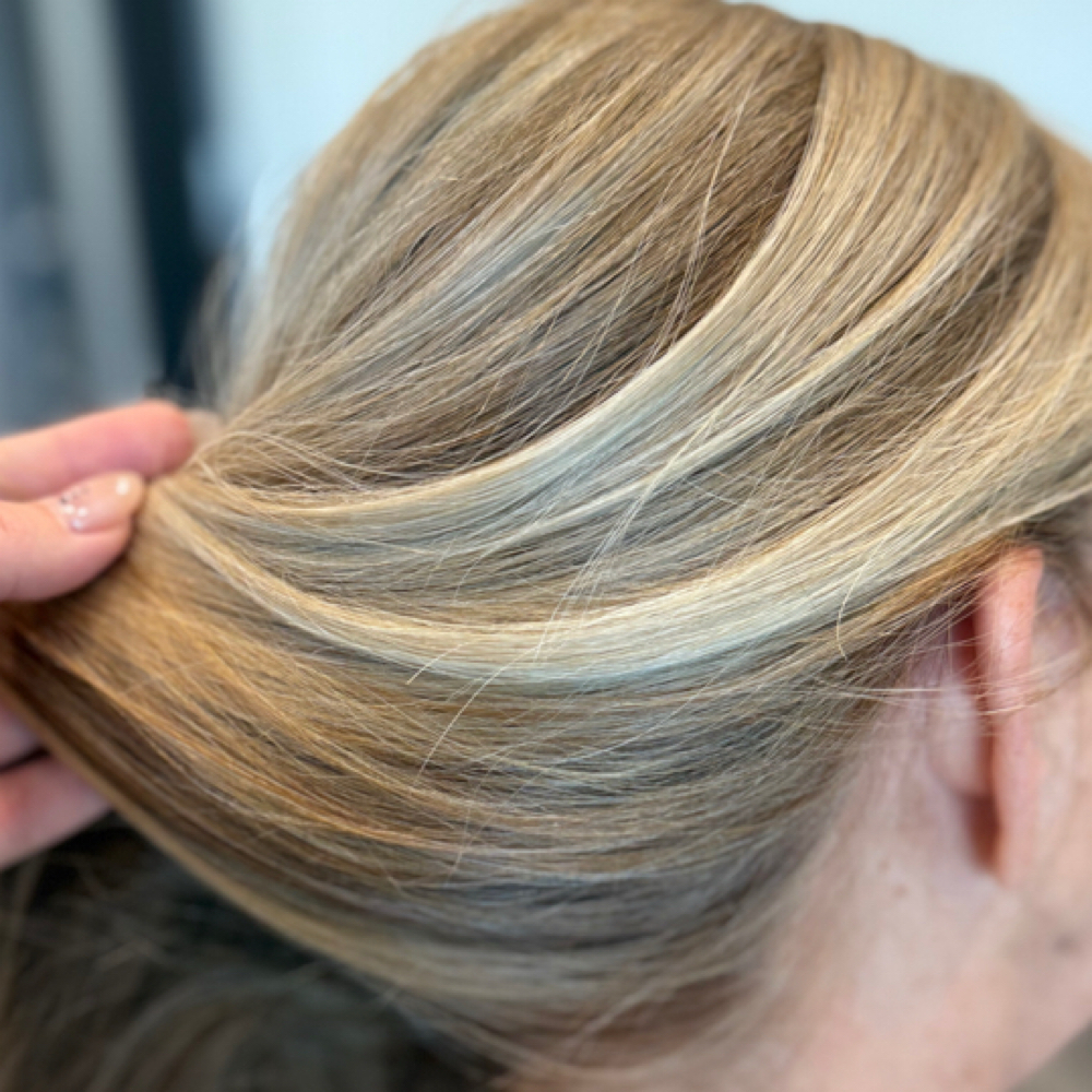 Gray Coverage + Dimension at Bri Van Hoven in FL, FL