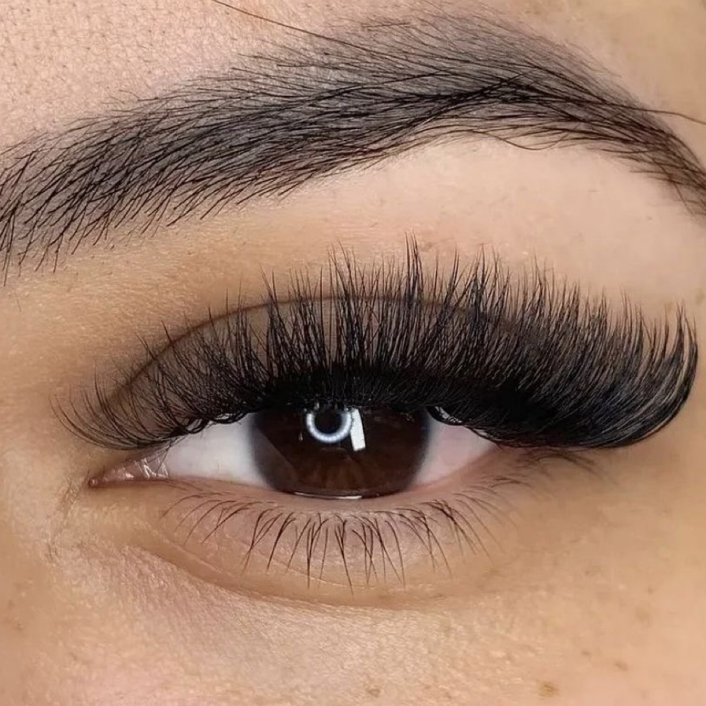 Volume LASH EXTENTUIN-FILL at Vera Luna Beauty Collective in Rapid City, SD