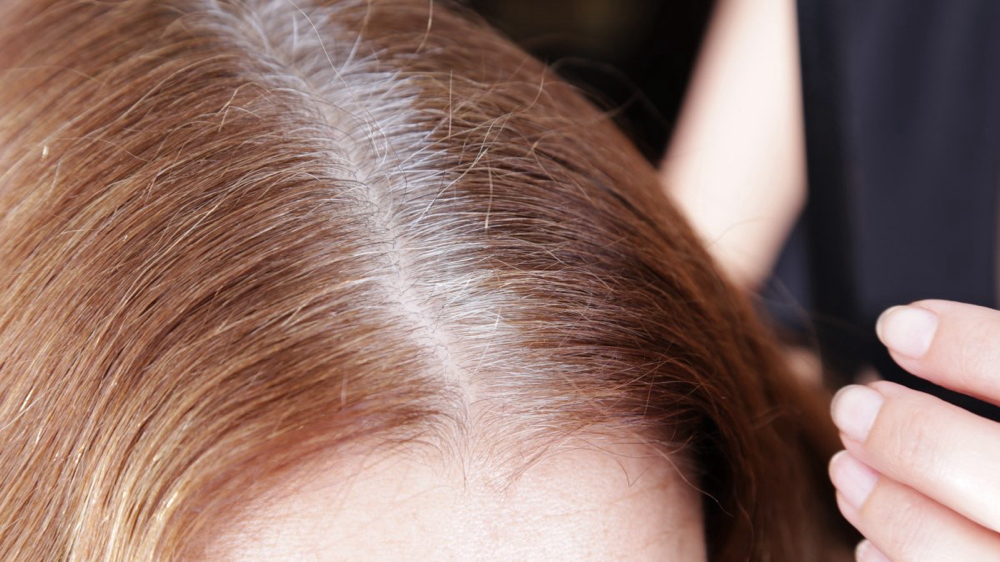Root touch up at Hair by Jen Noonis @ Sage Salon and Spa in Hidden Valley Lake, CA