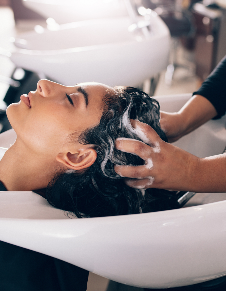 Shampoo, Cut, & Style