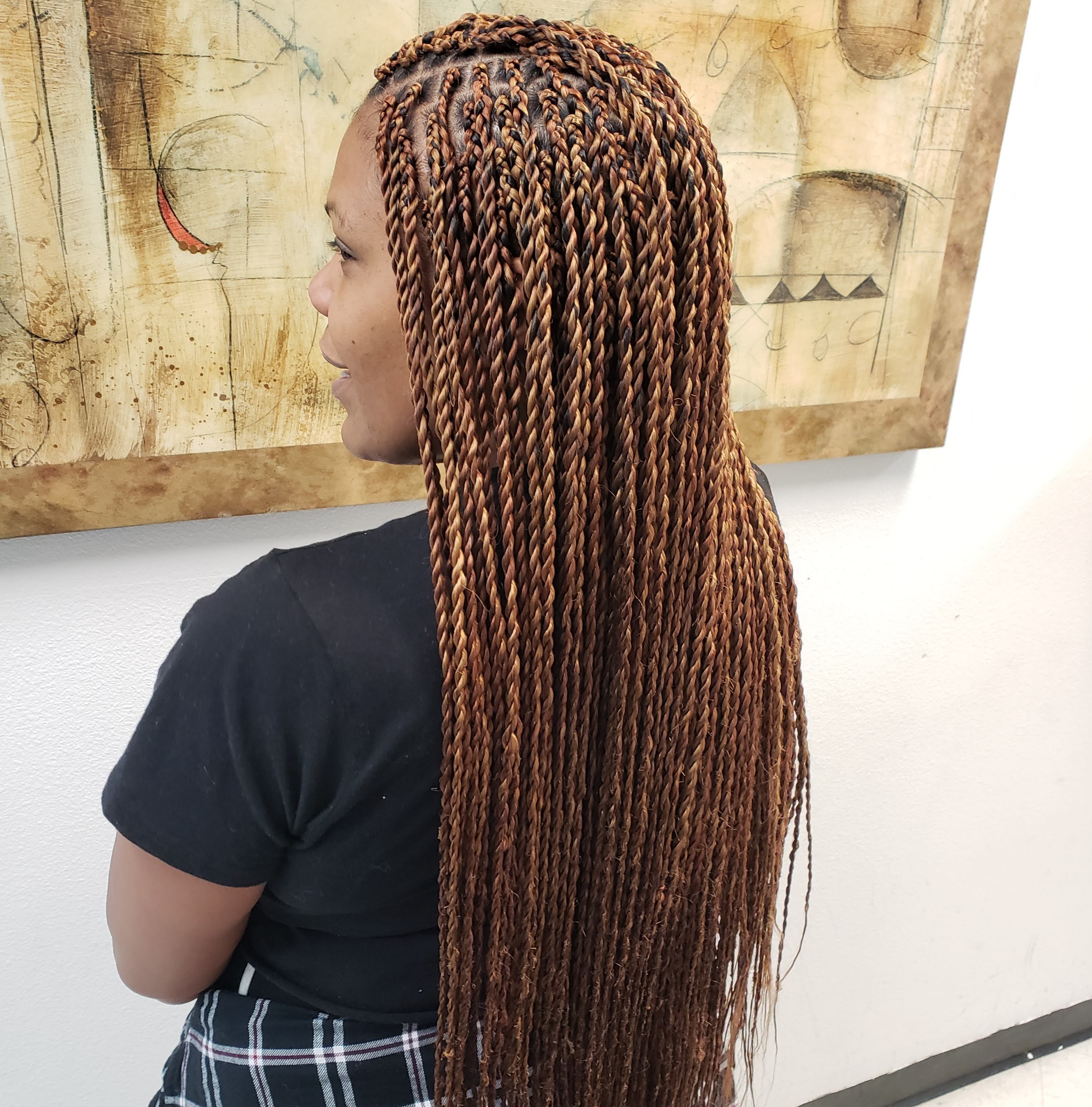 Senegalese Twists (Small)