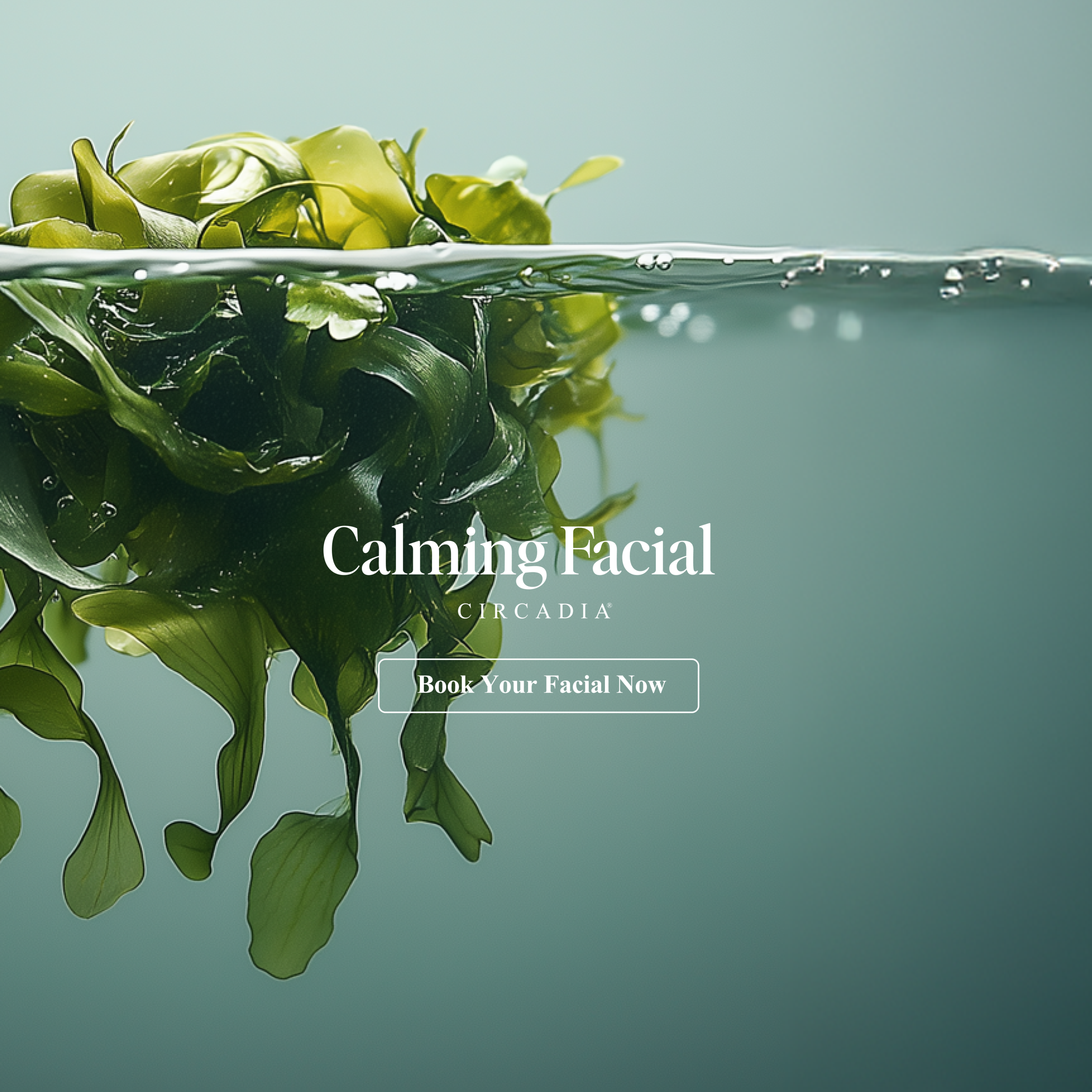 Circadia Calming Facial