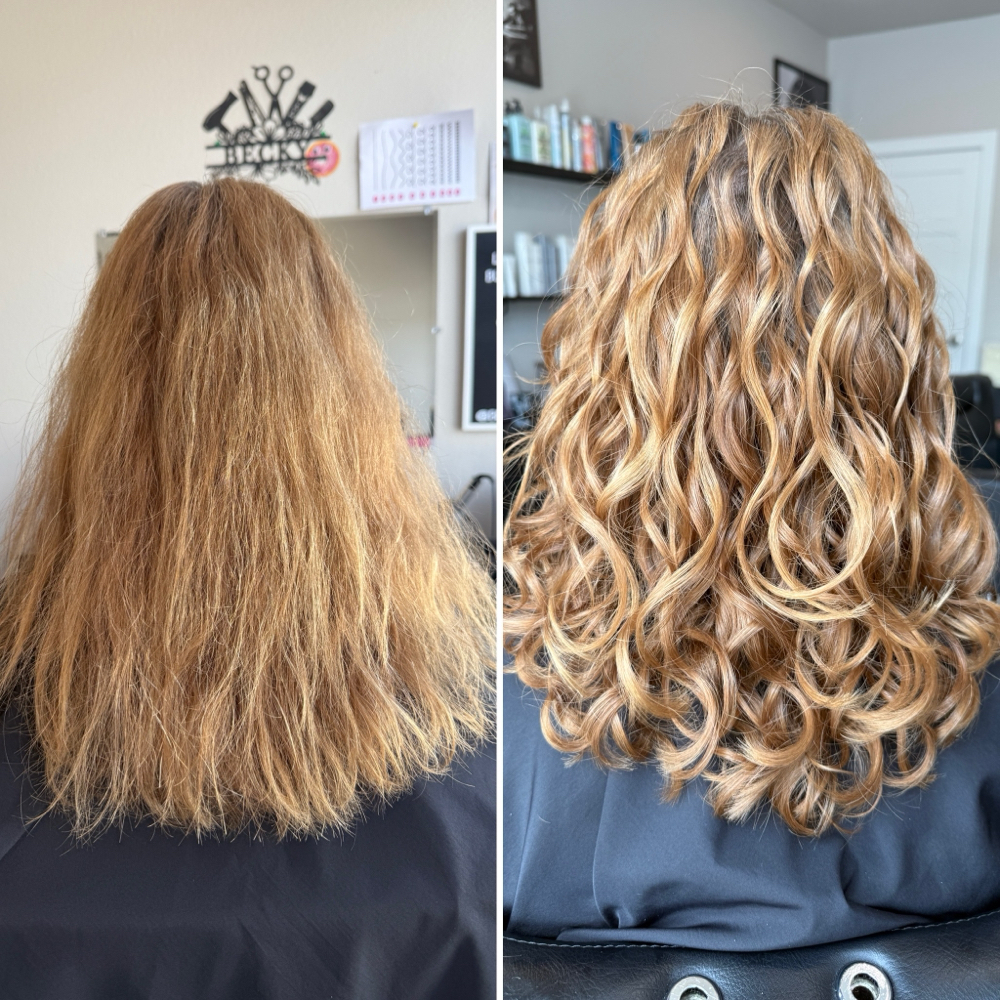 NEW GUEST Curly Experience