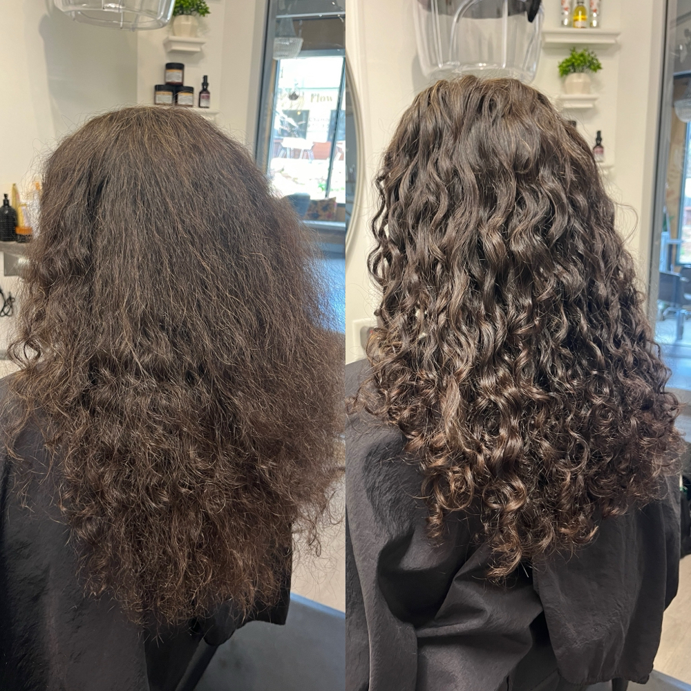 NEW GUEST Curly Session