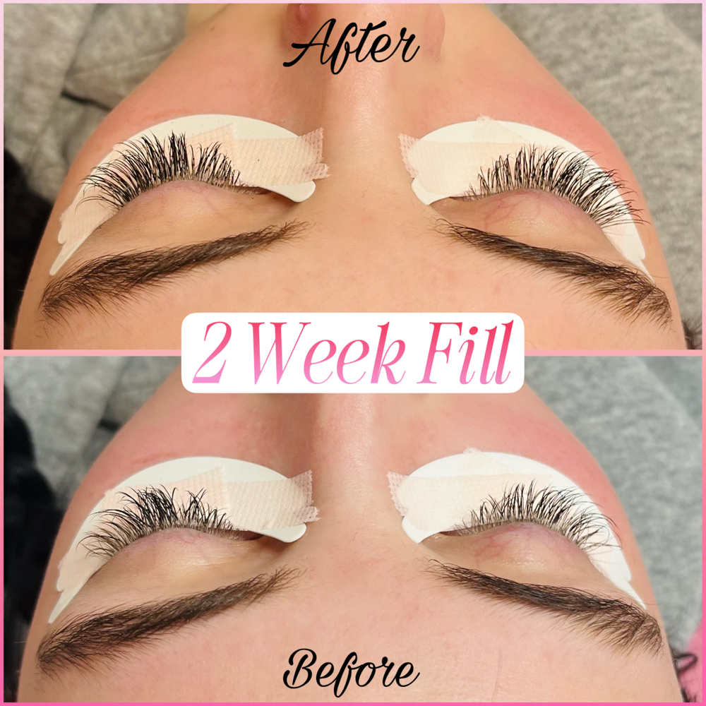 2/3 Week Fill
