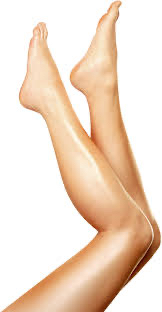 Legs ( Full)